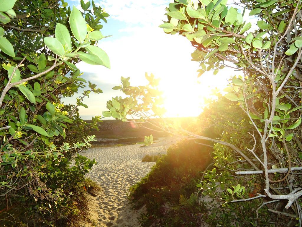 Hostel Casa Terra Florianopolis Ngoại thất bức ảnh